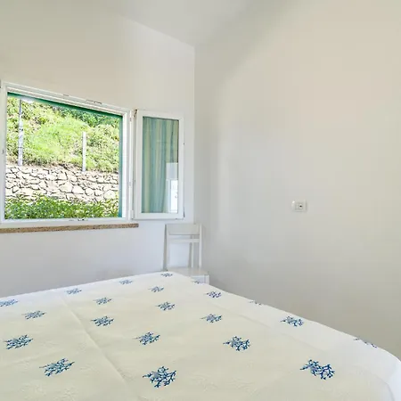 Apartment Stunning In With Wifi *