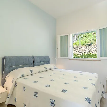 Amazing In With Kitchen Apartment *